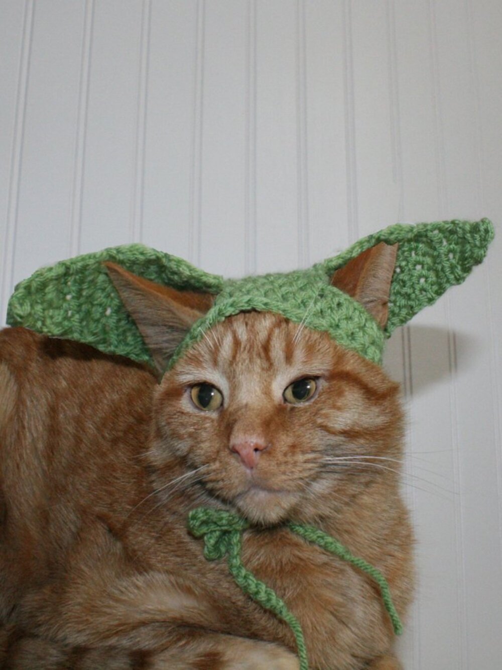 HAND CRAFTED Baby Yoda Mandalorian Crochet Cat Hat Wig Ears Costume Photo Prop - Picture 1 of 14